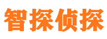 宝丰市私人侦探